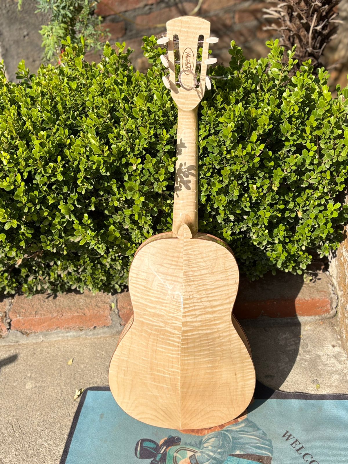 VTV Vihuela Pro Red Star Maple Size 2