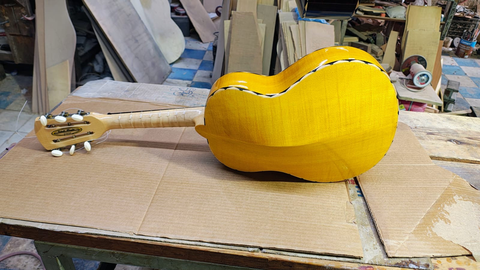 Roberto Morales Vihuela Arce