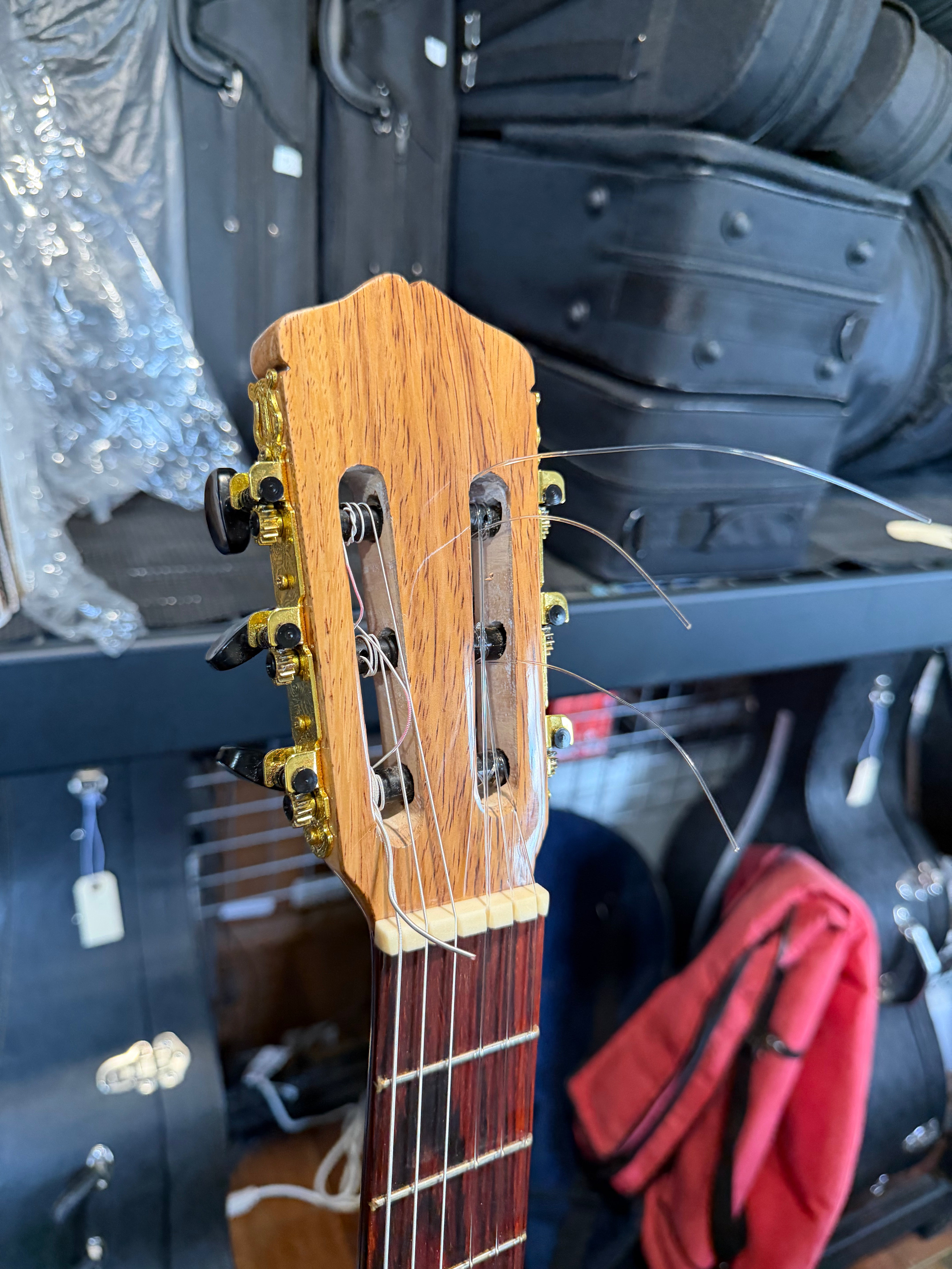 VTV - Guitarra Mariachera