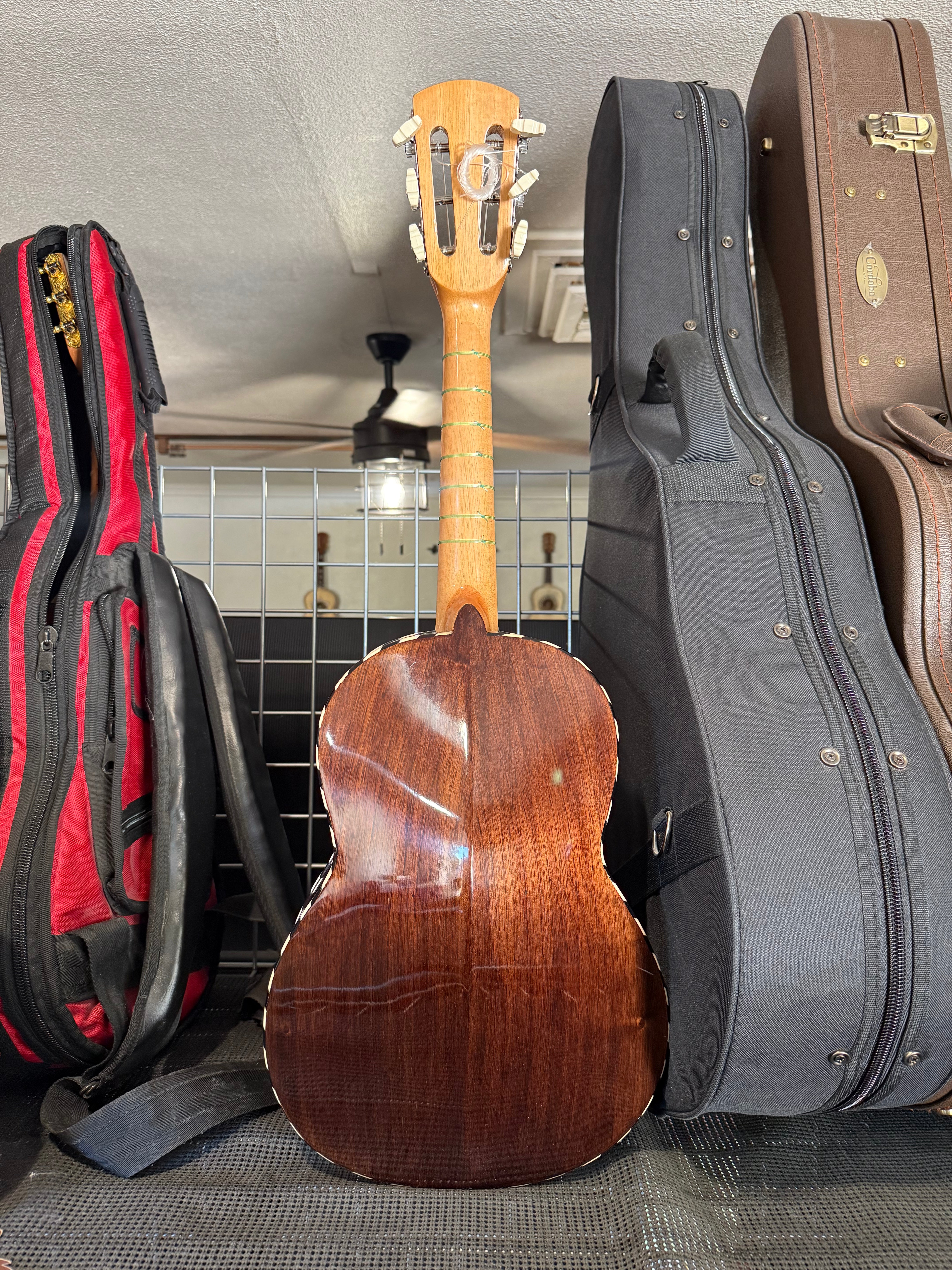 VTV Size 1 Vihuela ( Morales rossette )