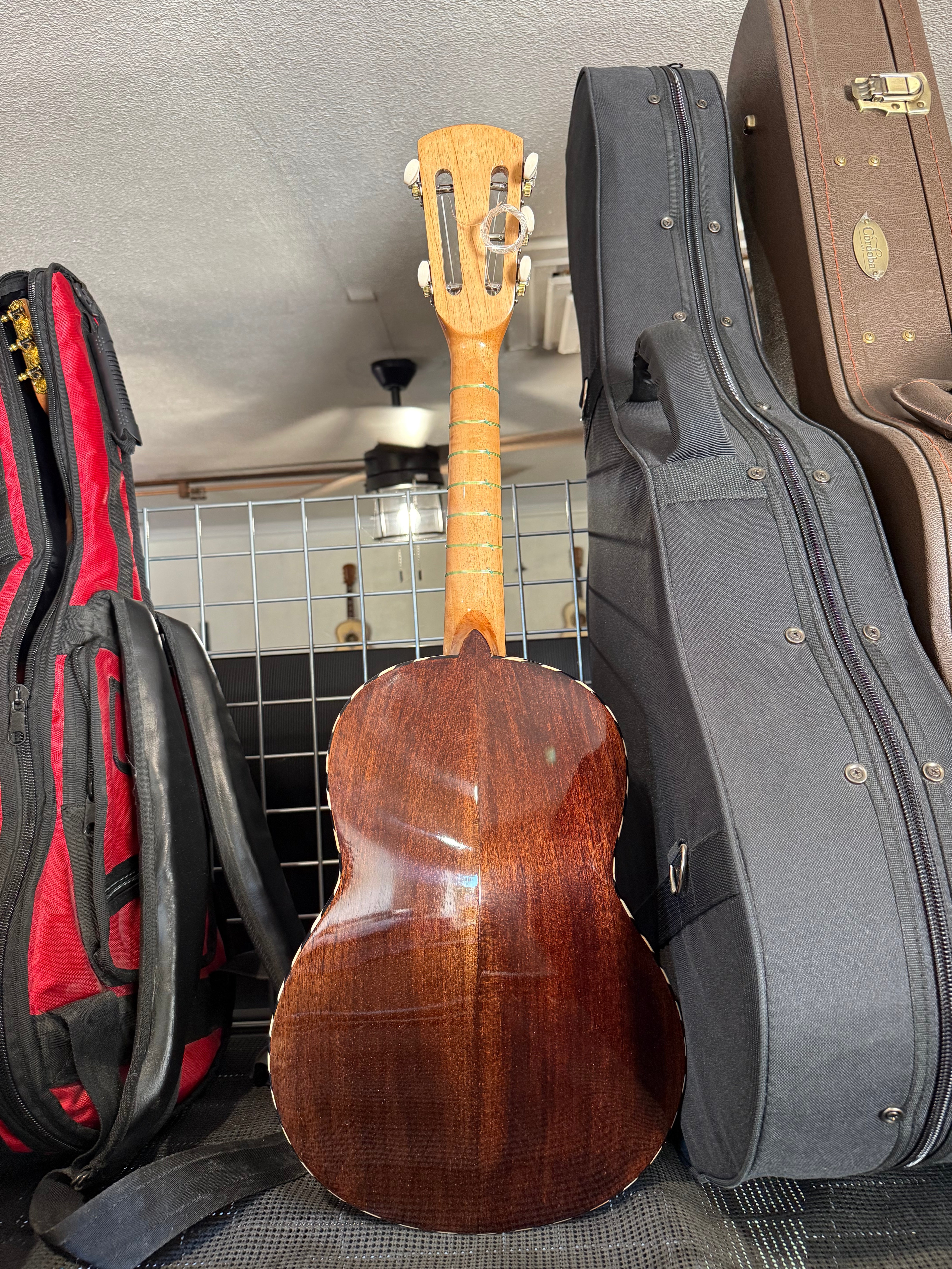 VTV Size 1 Vihuela Star