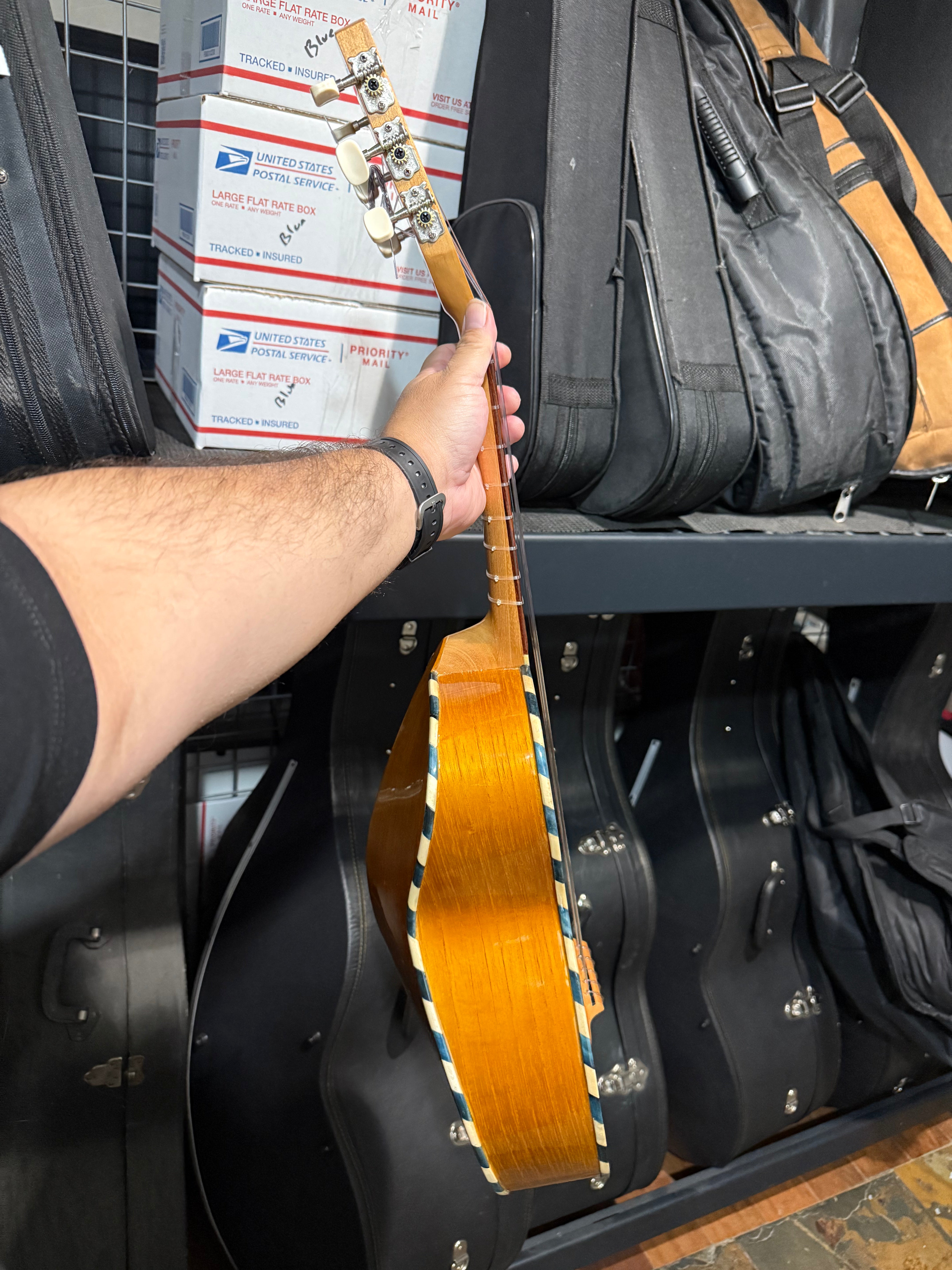 VTV - Vihuela Size 2