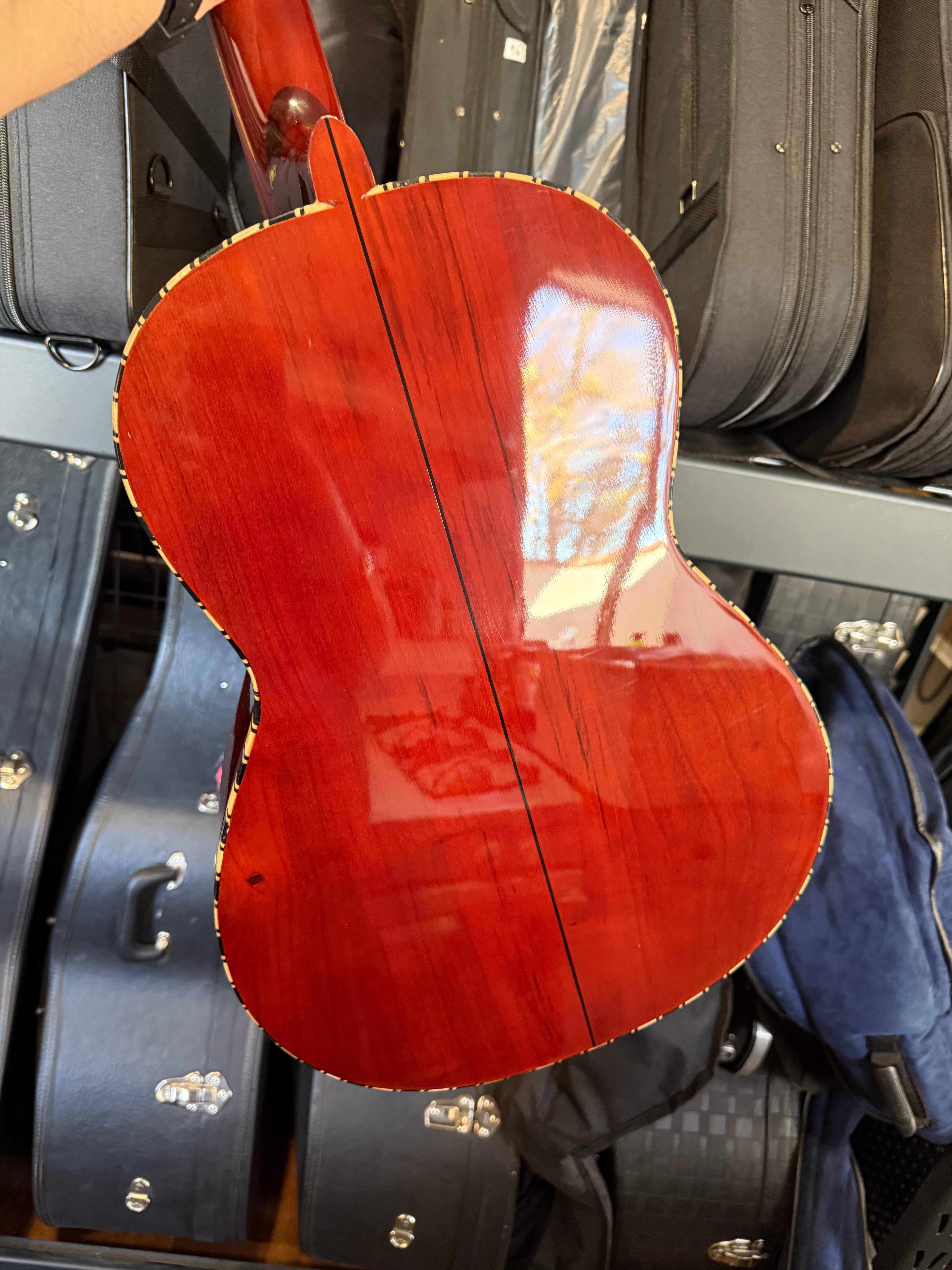 Sevillano Guitarra De Golpe ( Economic )