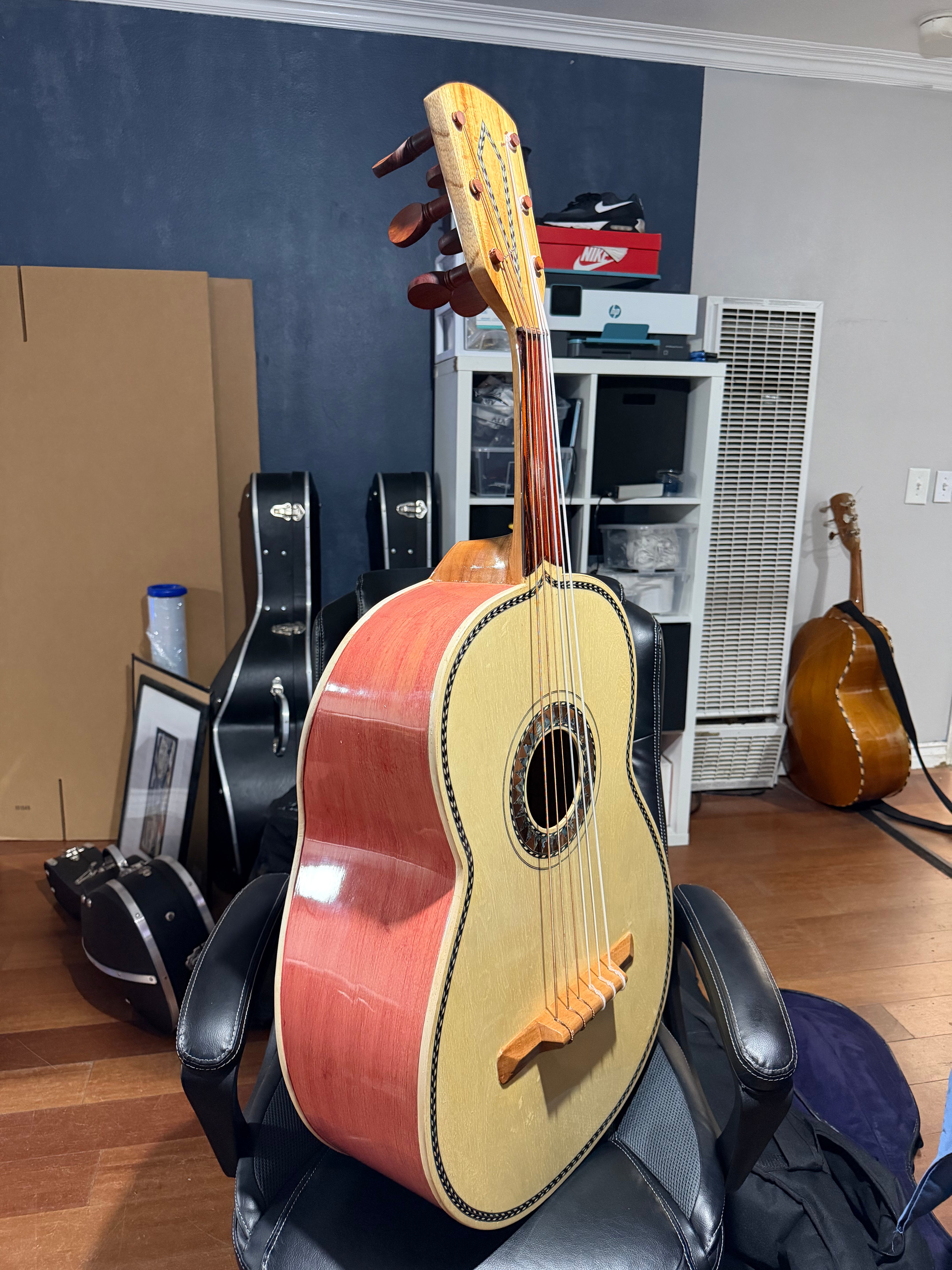 VTV - Guitarron ( Pink )