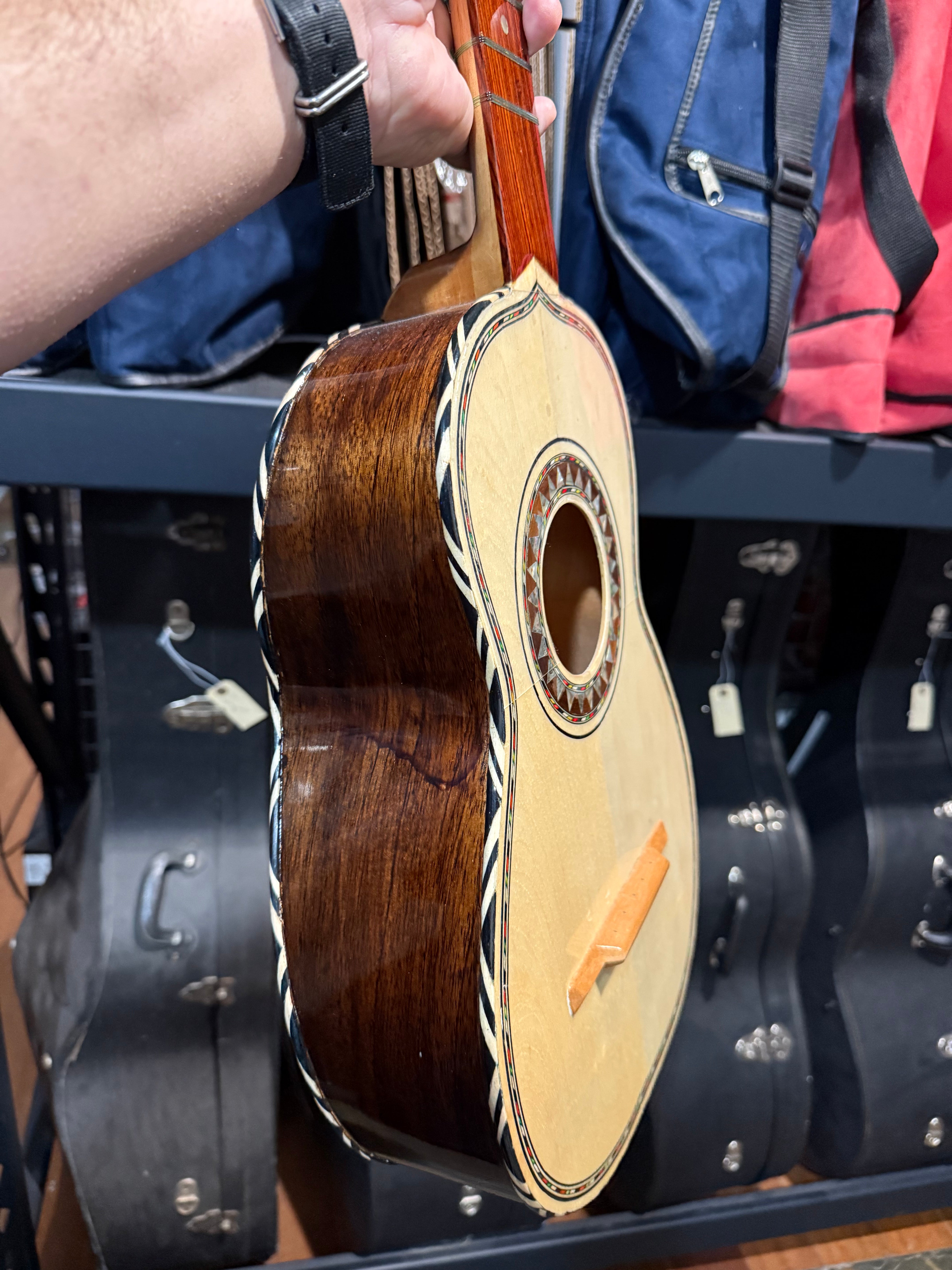 VTV - Size 1 Morales Rosette