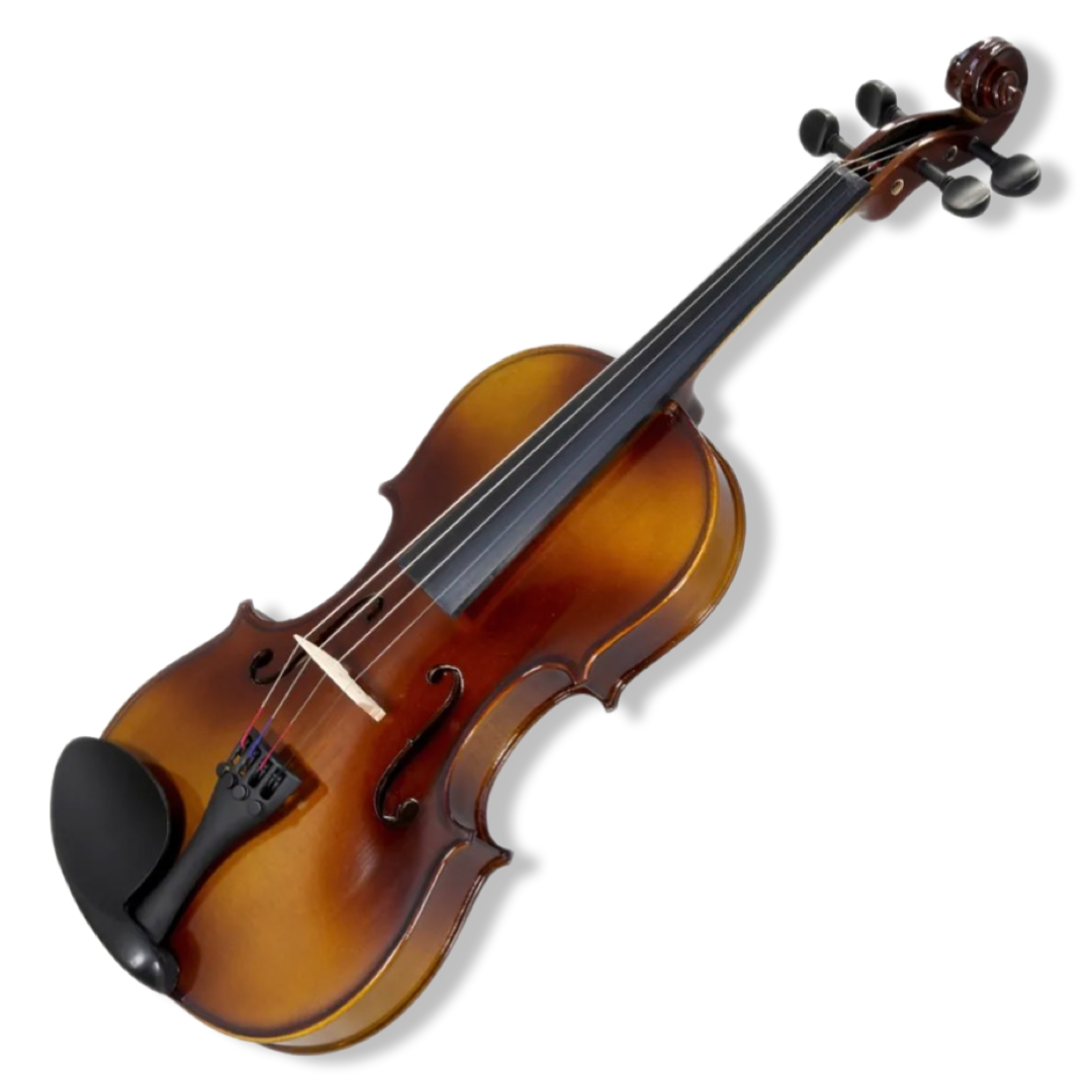 Student Violin Starter Pack 4/4 Full Size